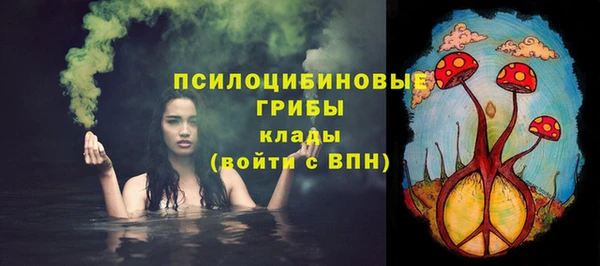 гидропоника Алзамай