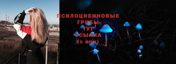 PSILOCYBIN Алексеевка