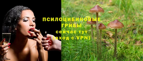 PSILOCYBIN Алексеевка