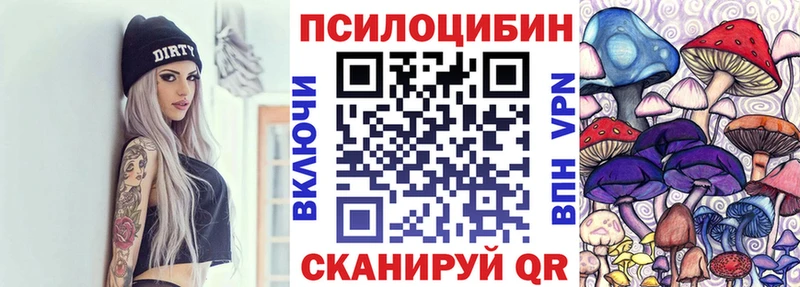 закладка  Петровск  Галлюциногенные грибы Psilocybine cubensis 