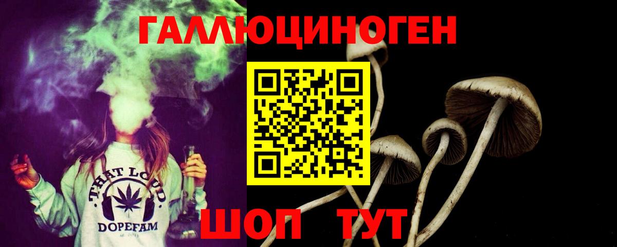 Псилоцибиновые грибы Magic Shrooms Петровск